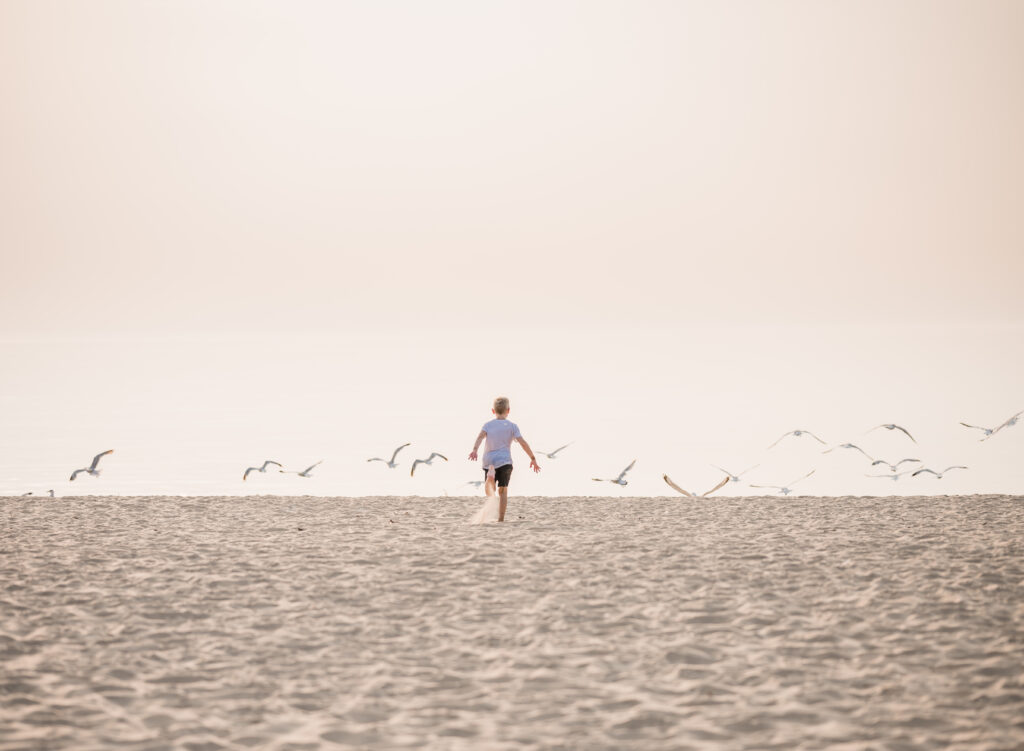 Person walking toward seagulls on a calm, sandy beach at sunset